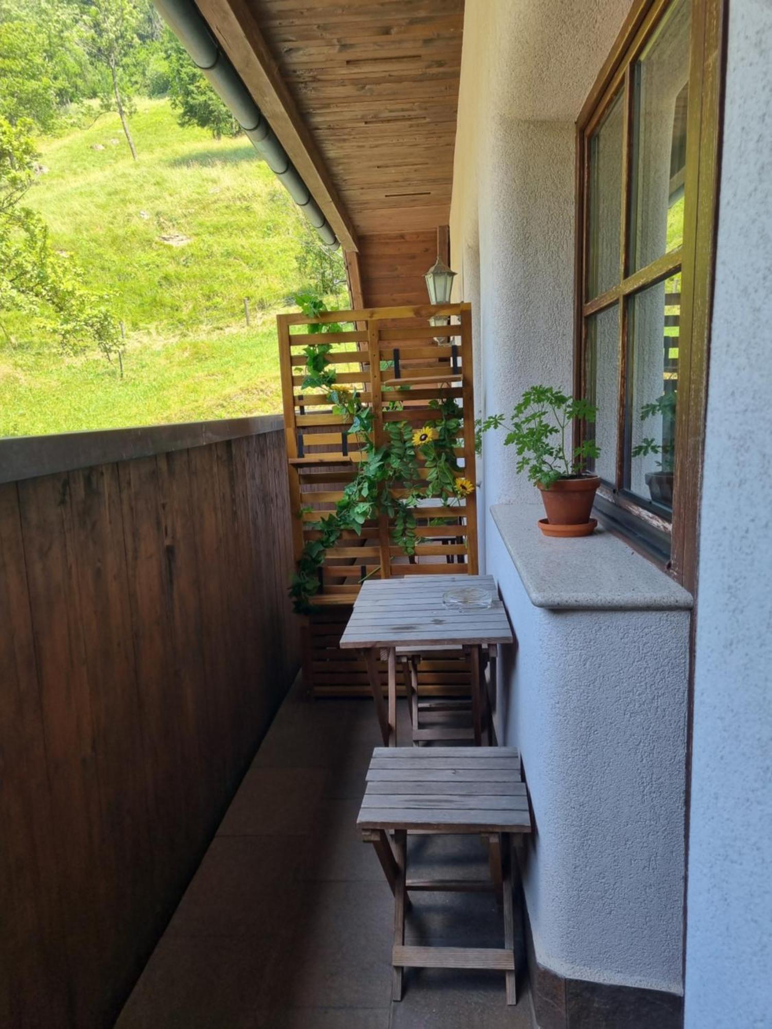 Apartments Pod Macesnovo Streho Solčava Buitenkant foto