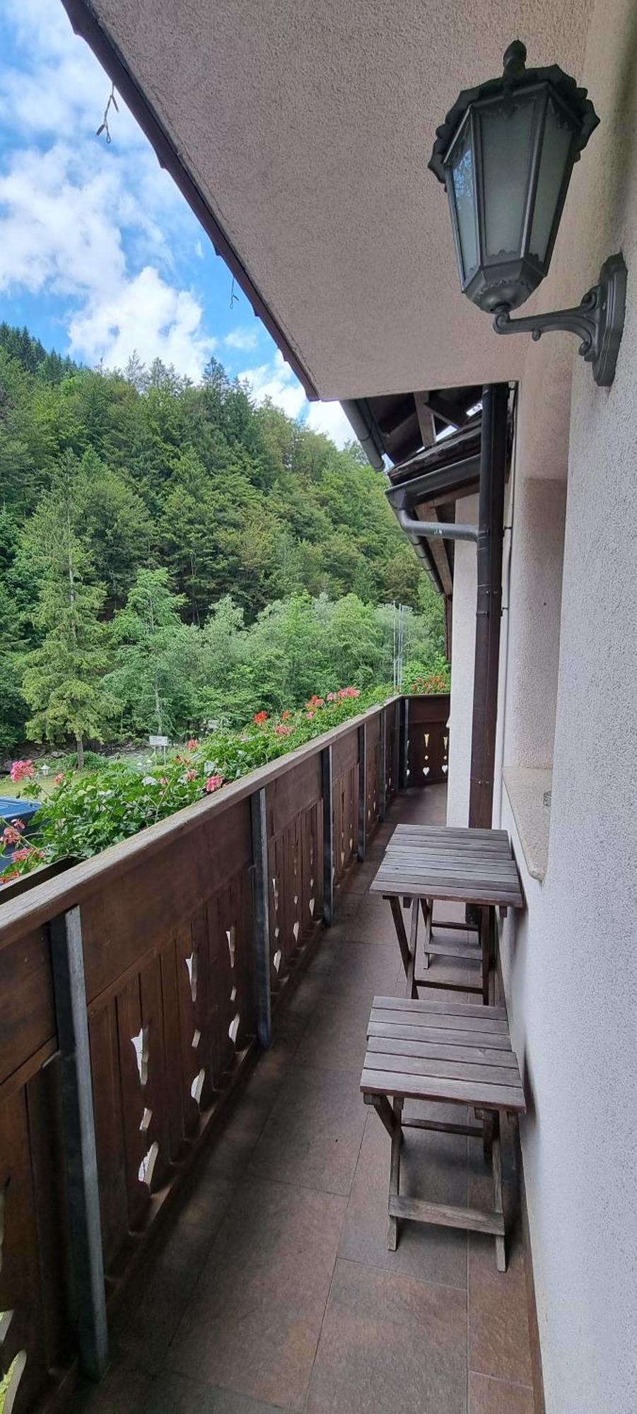 Apartments Pod Macesnovo Streho Solčava Buitenkant foto